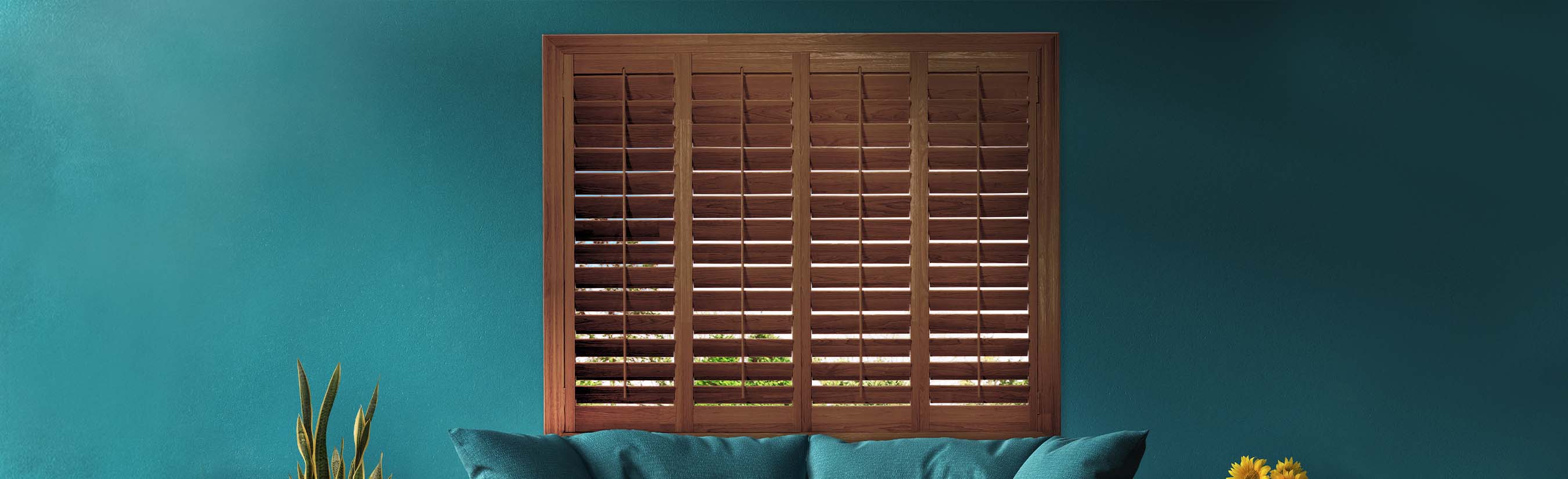 Dark brown stain shutters in a green living room